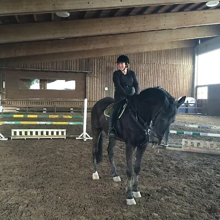 B B Griffondoro 3*