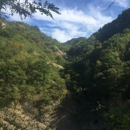 住宿加早餐酒店 B B Griffondoro Cantalupo Ligure