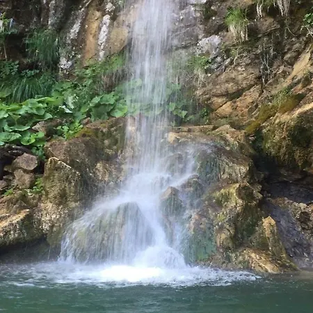 B B Griffondoro 住宿加早餐酒店 Cantalupo Ligure