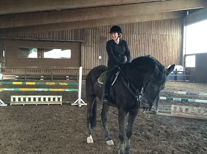 B B Griffondoro 3*